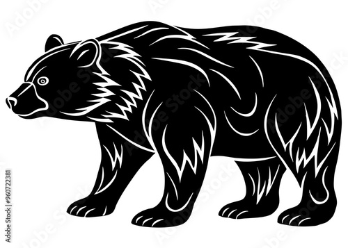 illustration of a bear