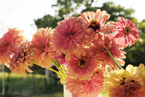 Slika na platnu Fresh cut flowers showing zinnia bouquet from garden.