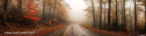 The Great Smoky Mountains National Park's autumn road