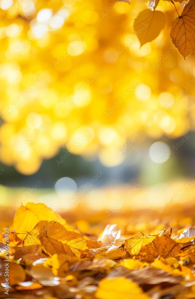 Group of autumn orange leaves on a white background.