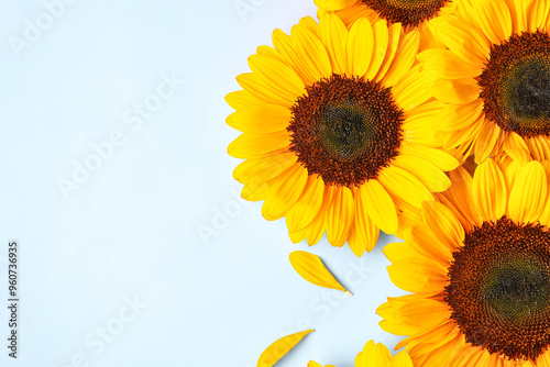 Beautiful sunflowers and pe...