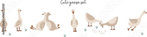 Flat goose set illustration. Kids vector cliparts of domestic birds. Farming