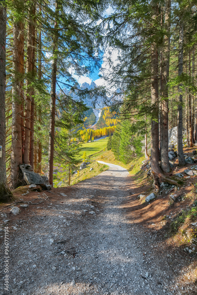 Gorgeous view of mountains and valleys with larch forest and wonderful sky are located in Filzmoos