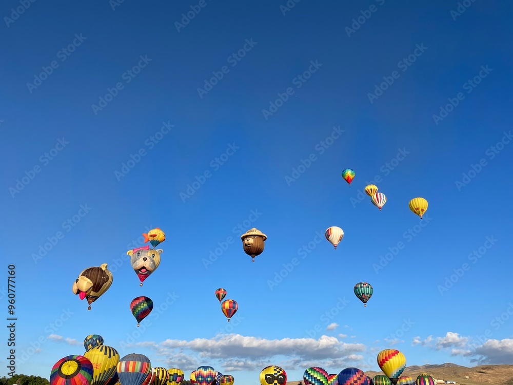 Obraz premium Hot Air Balloons