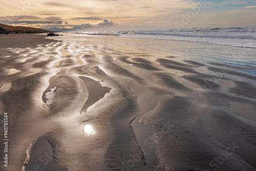 Pacific Ocean beach with beached sperm whale at Fort Stevens State Park, Oregon, USA. photo