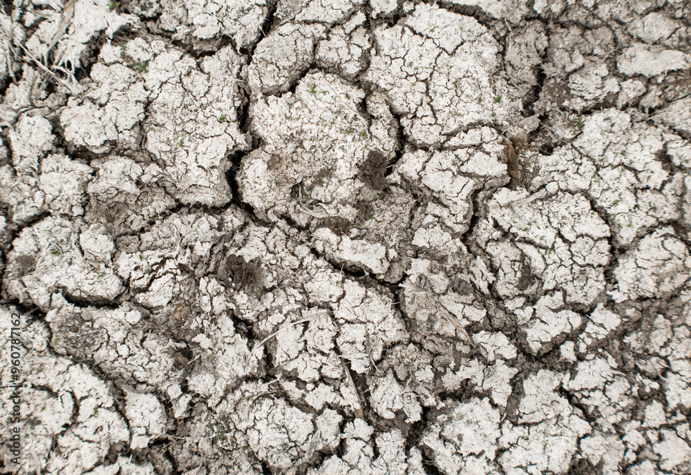 Aridity Background. Crack Land in summer Aridity Background. Crack Land in summer