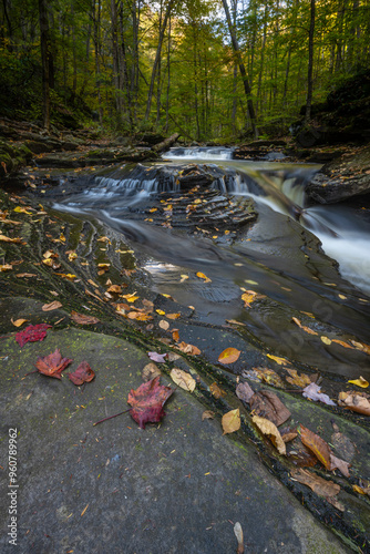 USA, Pennsylvania. Ricketts Glen State Park, fallen leaves and creek. photo