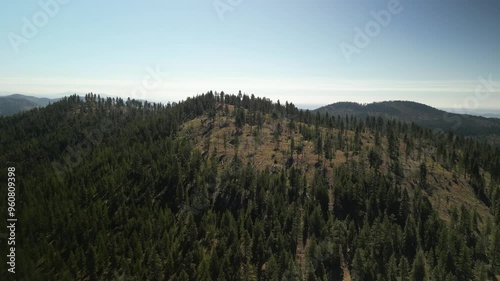 Aerial of dry hills and pine trees in Okanogan National Forest in Washington state in summer photo