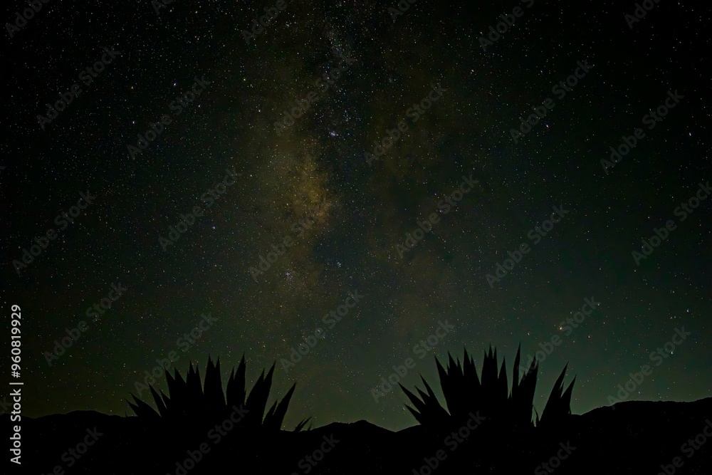 Fototapeta premium The galactic center risesabove the desert mountains in Anza Borrego Desert State Park, on the edges of the Colorado Desert 