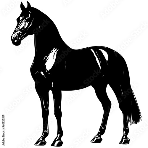 Horse Vector