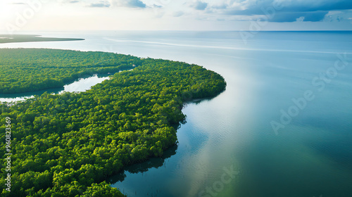 Aerial view of a serene river winding through lush greenery, reflecting the tranquil blue sky and peaceful water.