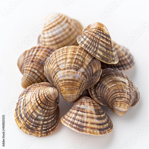 Cockles seafood, studio photography white background with soft lights.