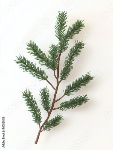 Christmas green tree branch. Christmas green fir and pine tree branches