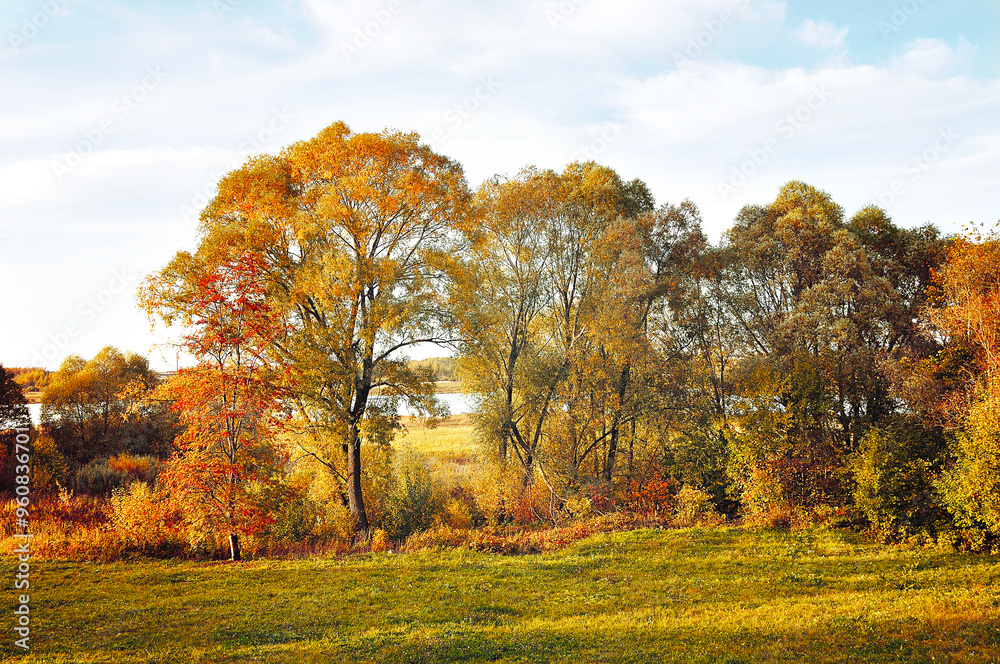 Autumn landscape - yellowed autumn trees in the grove near the forest river in sunny evening. Picturesque autumn landscape in vintage tones Autumn landscape - yellowed autumn trees in the grove near the forest river in sunny evening. Picturesque autumn landscape in vintage tones