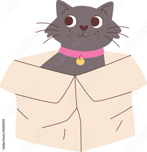 Cat Sitting In Box
