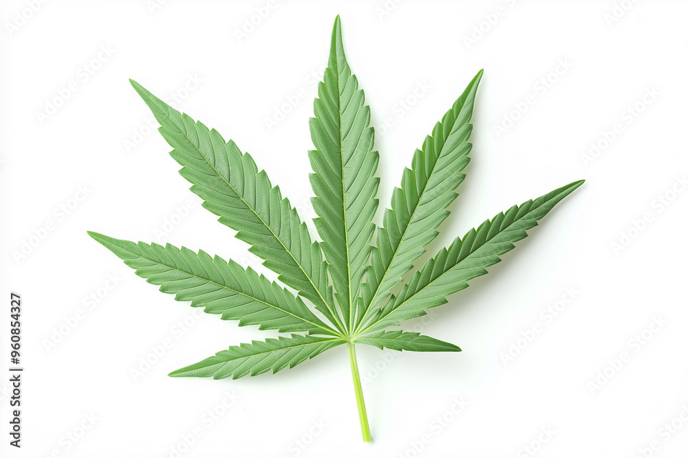 green marijuana leaf ganja on white background, generative AI green marijuana leaf ganja on white background, generative AI