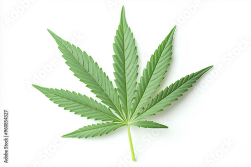 green marijuana leaf ganja on white background, generative AI
