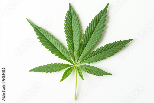 green marijuana leaf ganja on white background, generative AI