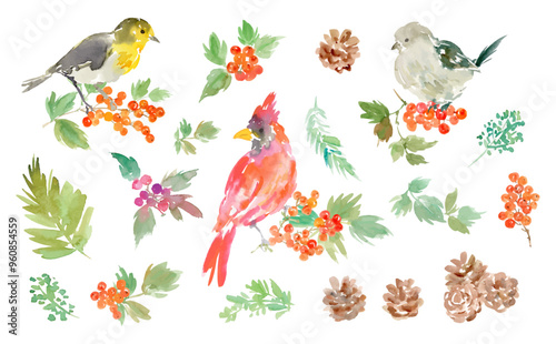A set of vector illustrations of abstract cardinals, robins, long-tailed tits, holly, and pinecones painted in watercolor. Hand-drawn illustrations of Christmas birds and Christmas plants for backgrou