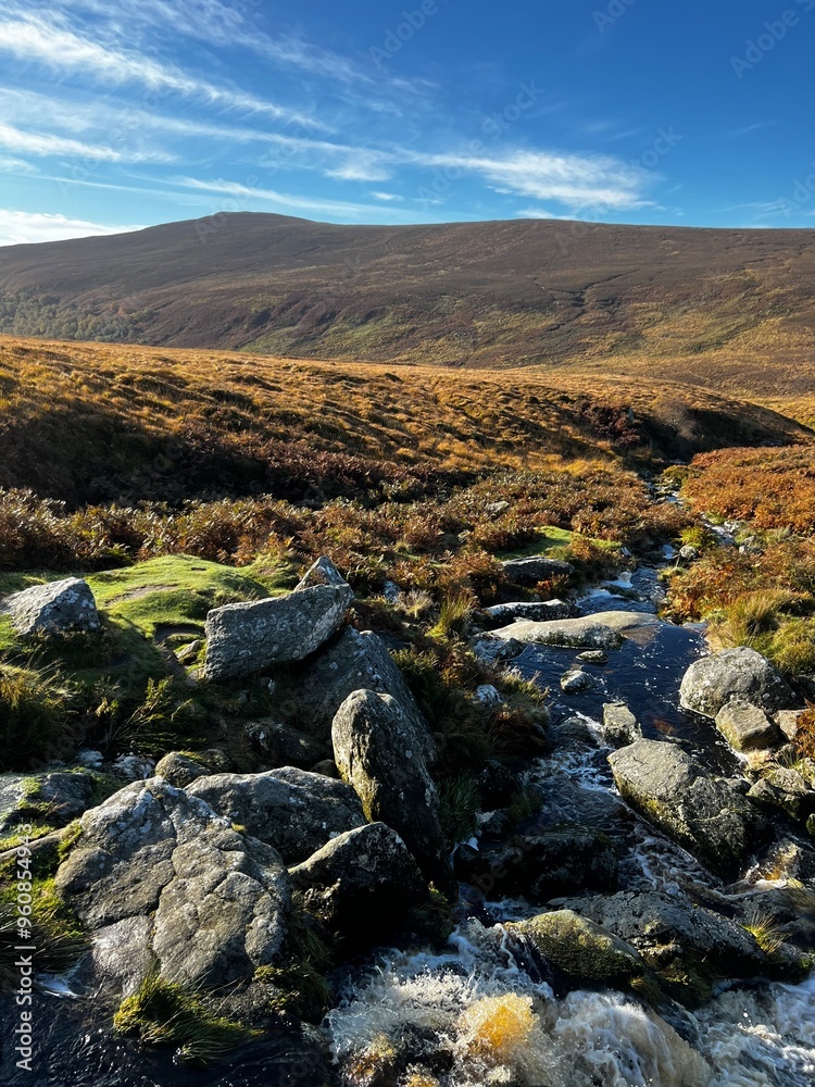 Obraz premium Wicklow Mountains