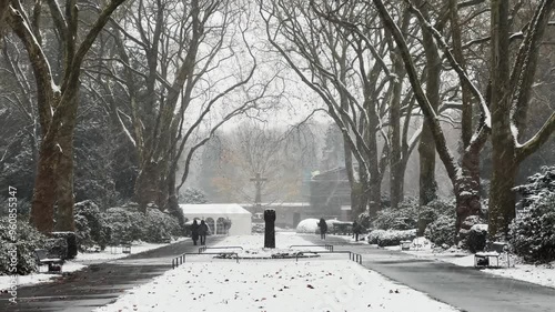 A snowy street with trees lining the road at cementary in Cologne, Germany. The trees are bare and the snow is covering the ground. There are two people walking down the street