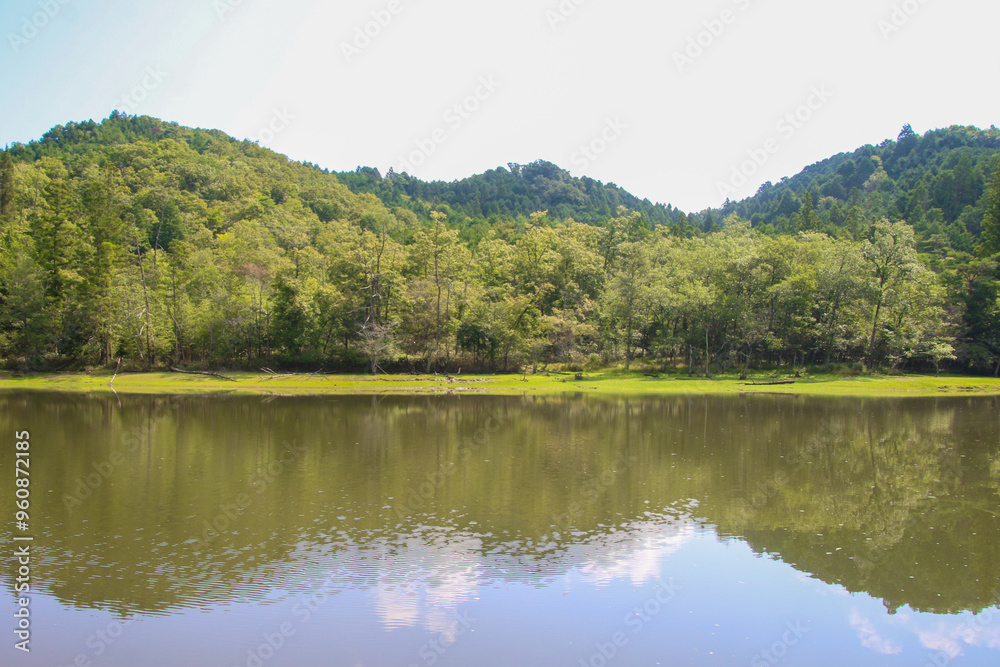 岩尾池 岩尾池