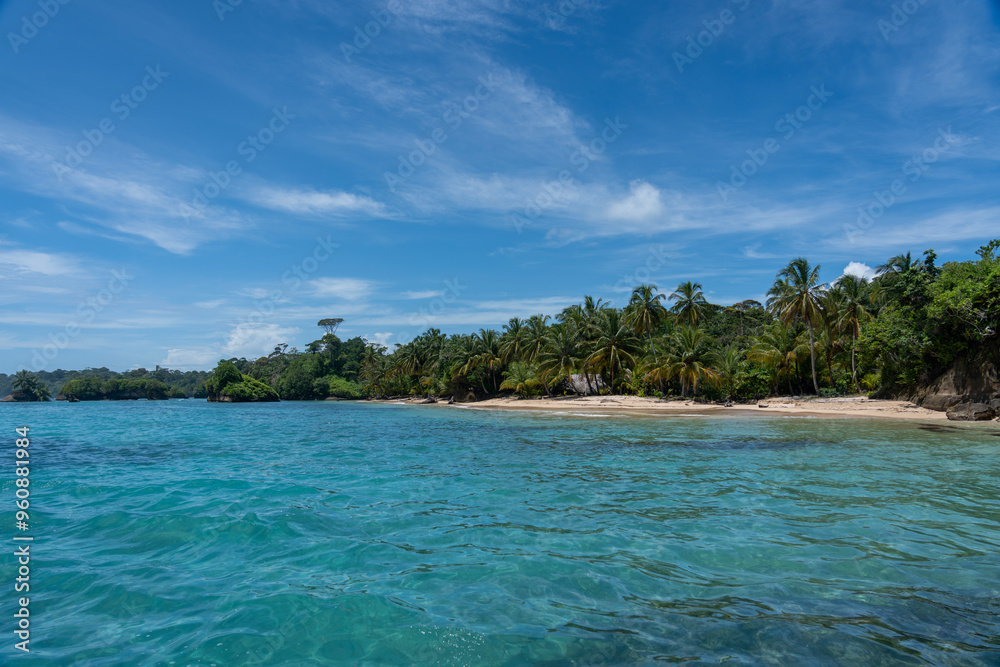 Clear Blue Water and Scenic Tropical Beach Surrounded by Palm Trees and Lush Nature - A Serene Island Paradise Offering Eco-Tourism and Adventure Travel in a Remote, Unspoiled Caribbean Destination