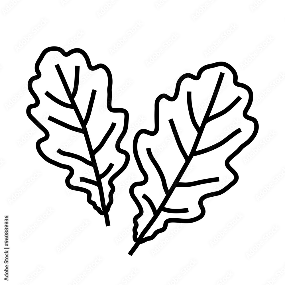Cartoon autumn maple leaves line art icon isolated on a white background.
Cartoon autumn maple leaves line art icon isolated on a white background.