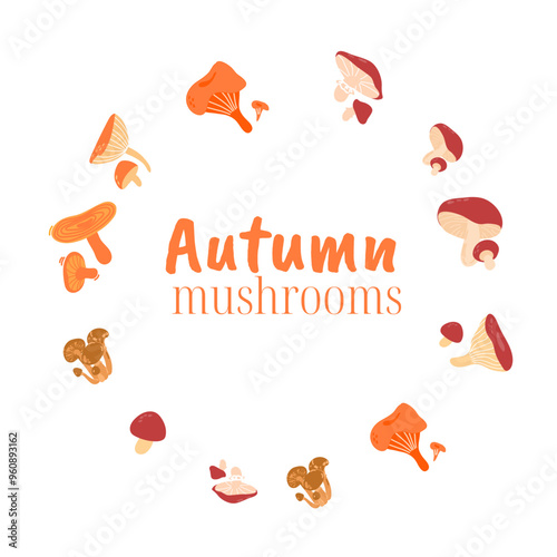 Autumn round frame made of edible mushrooms Saffron milk cap, russula redolens, yellow boletus, suillus,chanterelles, porcini background. Background design with free copy space image.