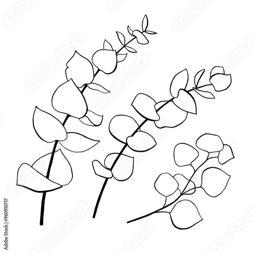 Set of black and white eucalyptus branches with leaves in silhouette. Monochrome outline drawing engraving. Hand drawn vector illustration. Clip art for coloring, design, cards, packaging, labels
