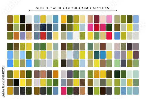 Sunflower tone color palette. Trend color palette guide template. Fit for fashion designers, business, and paints colors company. Match combinations. Vector graphics. Eps 10.