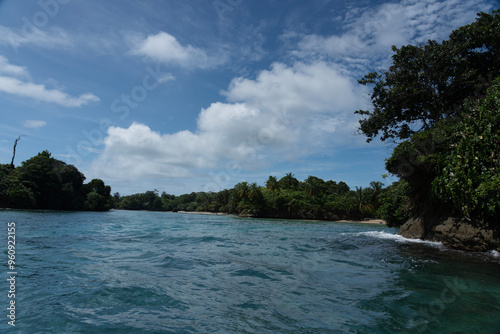 Water, Sea, and Tropical Beach Paradise with Palm Trees and Clear Blue Sky - Serene Island Destination with Lush Nature, Greenery, and sea for a Peaceful and Scenic Caribbean Eco-Tourism Vacation