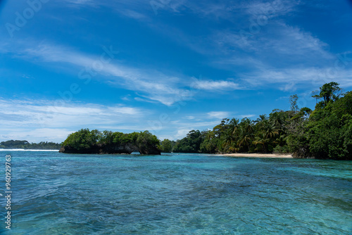 Water, Sea, and Tropical Beach Paradise with Palm Trees and Clear Blue Sky - Serene Island Destination with Lush Nature, Greenery, and sea for a Peaceful and Scenic Caribbean Eco-Tourism Vacation