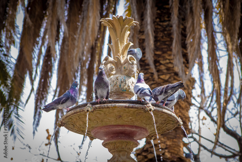 FUENTE DE PLAZA CON PALOMAS