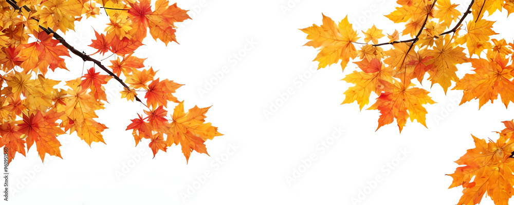 autumn nature background with autumn leaves fall season concept, autumn banner with copy space for text autumn nature background with autumn leaves fall season concept, autumn banner with copy space for text