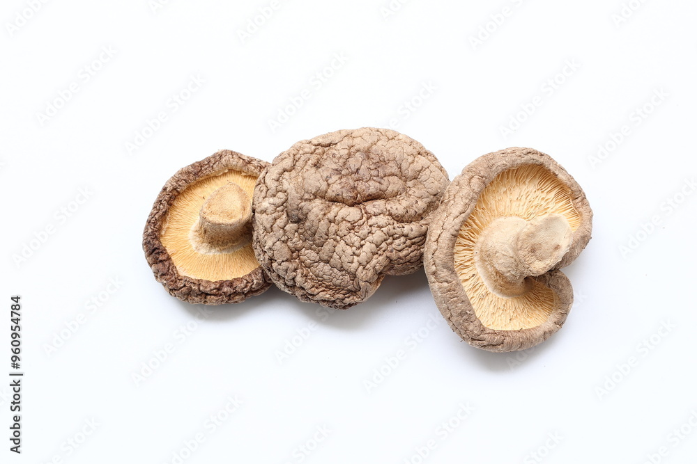 mushroom on a white background, mushrooms on white background mushroom on a white background, mushrooms on white background