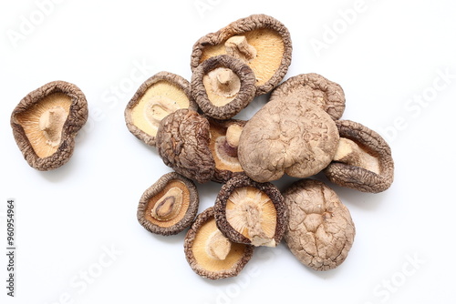 Mushroom on white background 