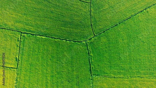 An Nhut, Vietnam. Rice fields in morning, view from above. 4k Aerial drone footage photo