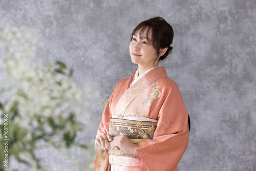 訪問着の着物を着た女性