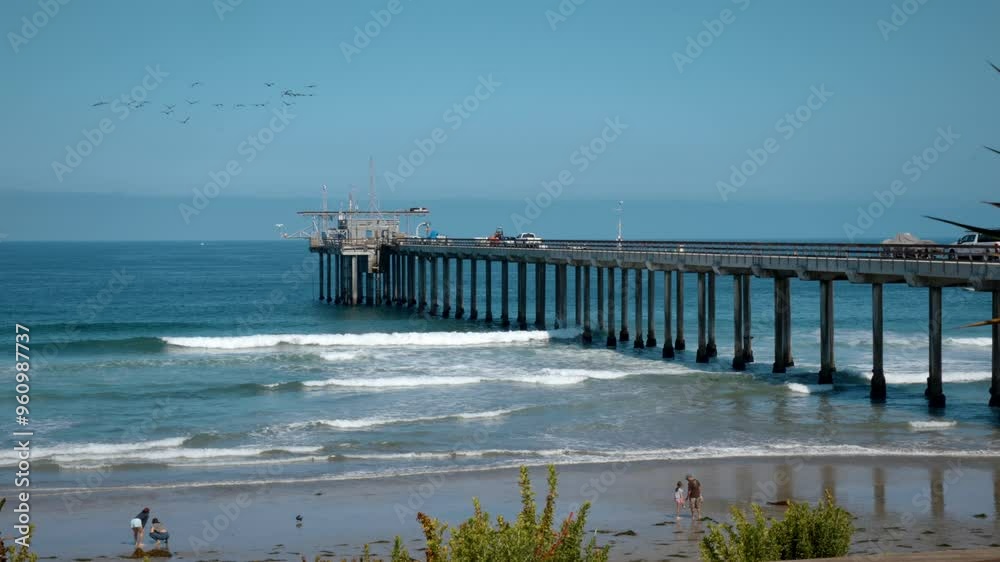 Aerial view of Scripps Pier near La Jolla Shores in San Diego California with blue sky and surfers in the Pacific Ocean Aerial view of Scripps Pier near La Jolla Shores in San Diego California with blue sky and surfers in the Pacific Ocean