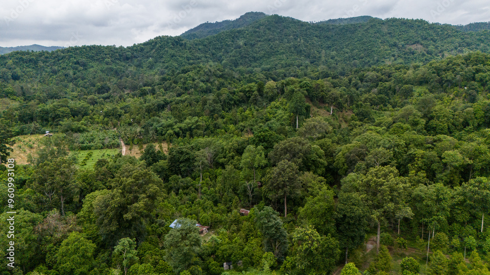 Aerial view of Durians farm in Laplae district, Thailand. Durian and Longkong in the Laplae district are grown on the mountain, hence the name. Aerial view of Durians farm in Laplae district, Thailand. Durian and Longkong in the Laplae district are grown on the mountain, hence the name.
