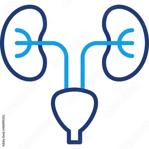 Nephrology Icon