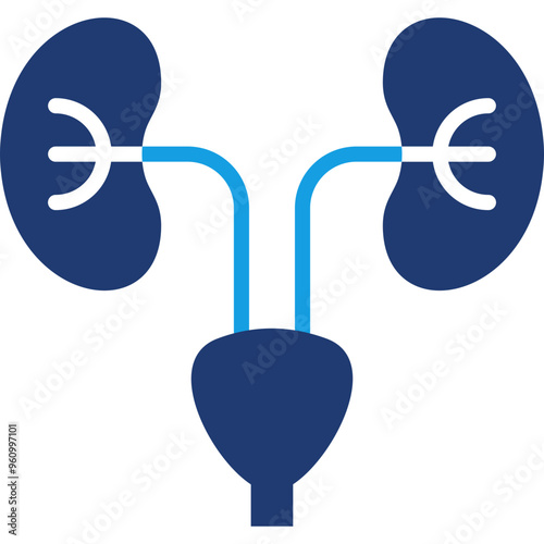 Nephrology Icon