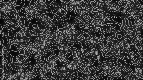 Dynamic Black and White Animated Topography Background with Fluid Motion and Geometric Patterns