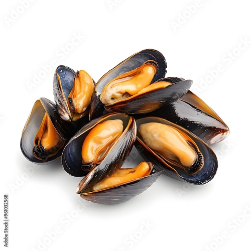 Macro Close up of Fresh Raw Gourmet Mussels on White Background