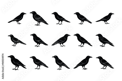 Crow Bird Silhouette Bundle, Vector Illustration, Wildlife Animal Clipart photo