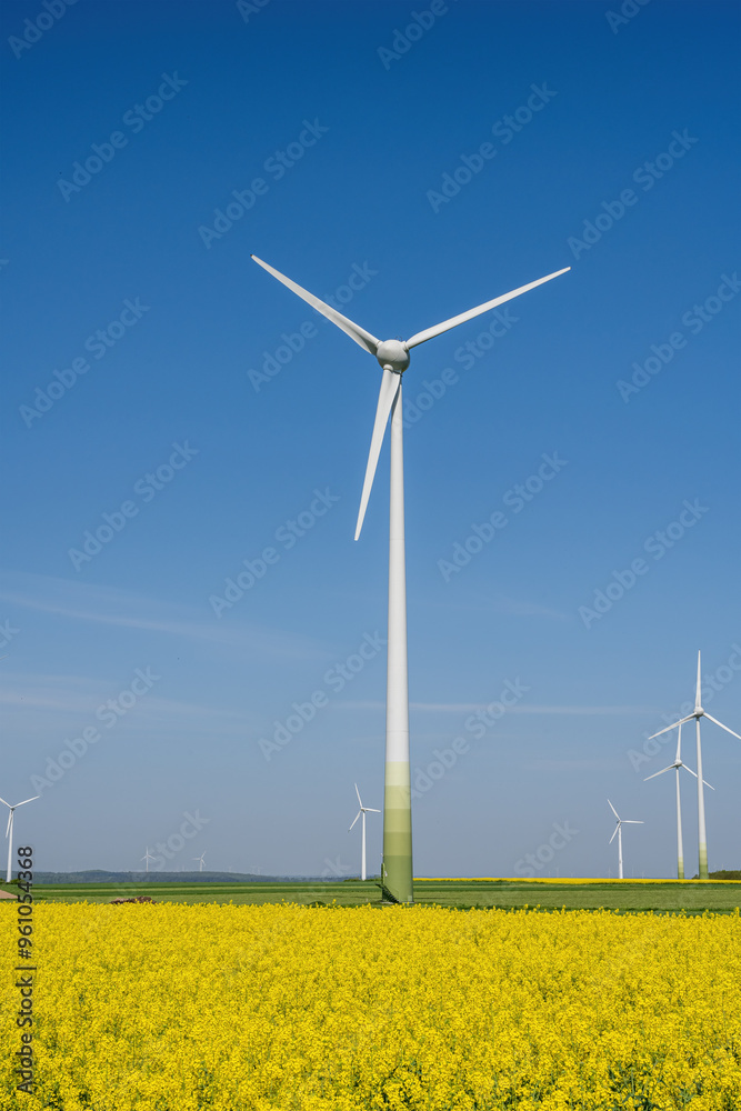 Modern wind energy plants and yellow canola fields seen in Germany Modern wind energy plants and yellow canola fields seen in Germany
