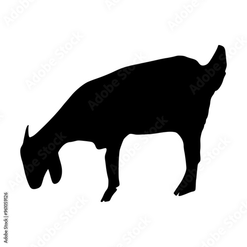 Sheep Silhouette illustration