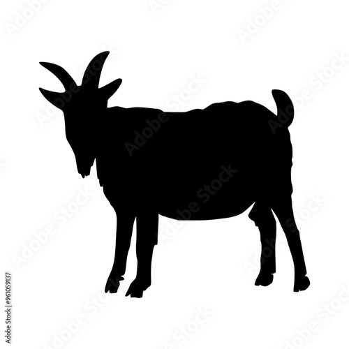 Sheep Silhouette illustration