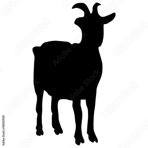 Sheep Silhouette illustration